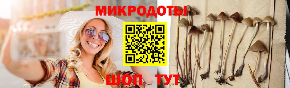 Псилоцибиновые грибы GOLDEN TEACHER Кушва